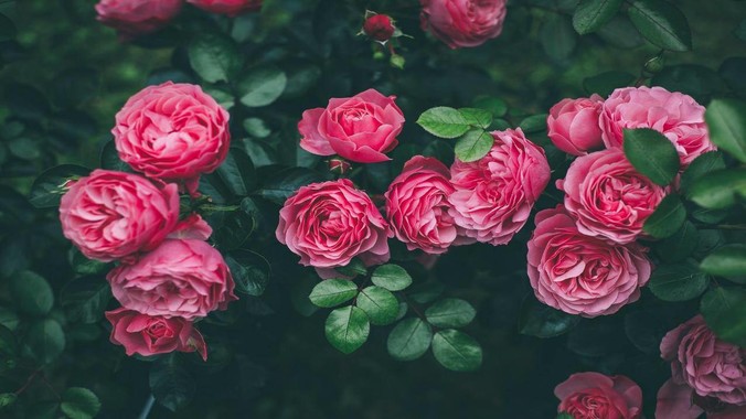 /detail/143244.html